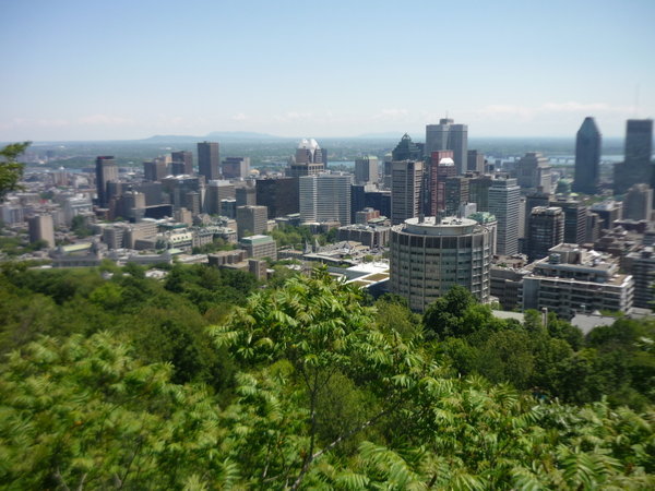 View of Montreal from Mont Royal
