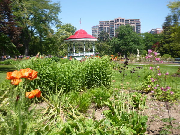 Montreal's Central Park