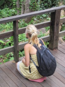 Sepilok Orangutan Sanctuary