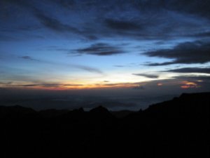 Mount Kinabalu 033