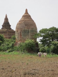 Bagan Day 2b 028
