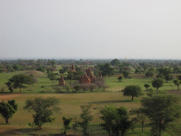 Bagan Finish 026