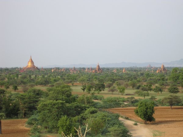Bagan Finish 033