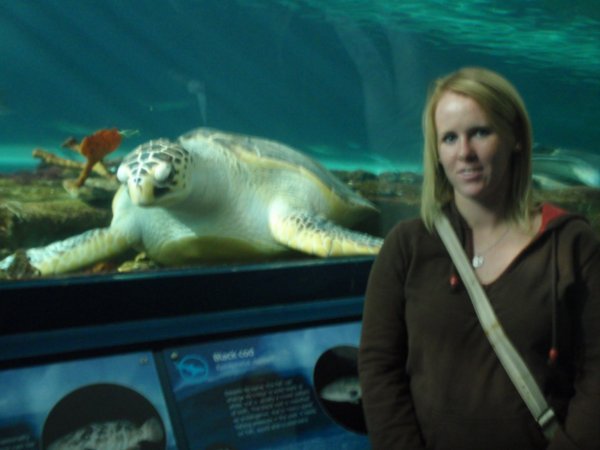Me and the turtle