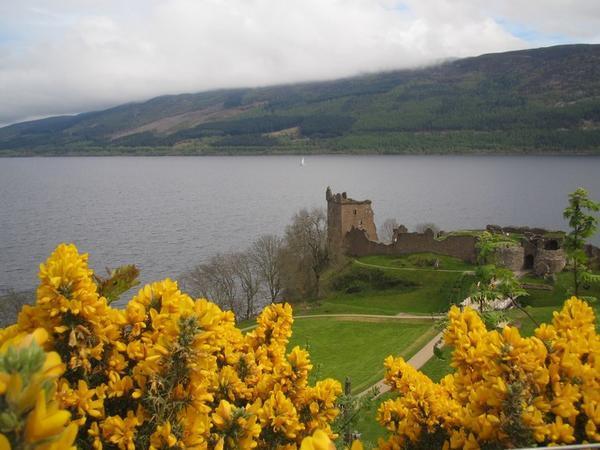 Castle Urqhart. It is here where the famous Nessie photos were taken.