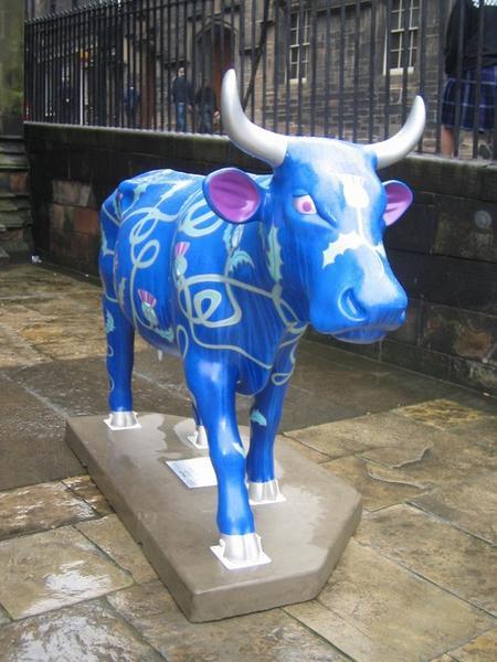 The Thistle Cow