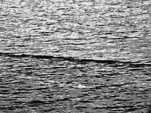 Loch Ness Monster Photo 2