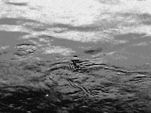 Loch Ness Monster Photo 3