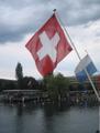 Swiss Flag...a well recognized symbol
