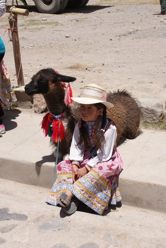Little girl with a pet llama