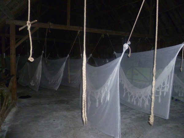 Eerie looking mosquito nets
