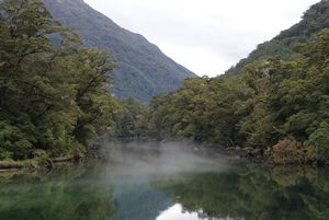 Start of the Milford Track
