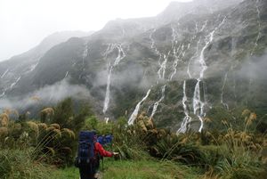 Waterfalls after a little rain on the Milford Track
