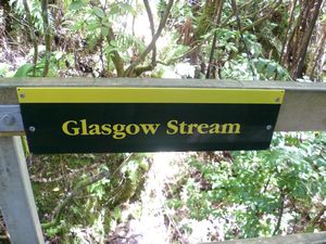 Glasgow Stream in Abel Tasman