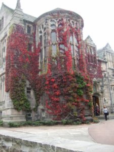 King's College with Ivy