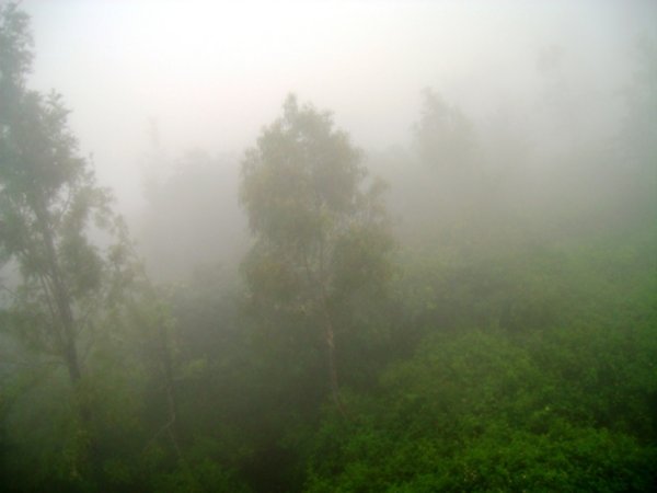 Yercaud engulfed with mist
