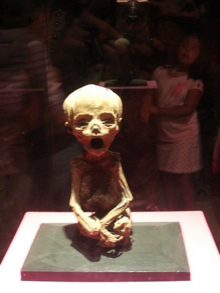 la momia más pequeña en el mundo