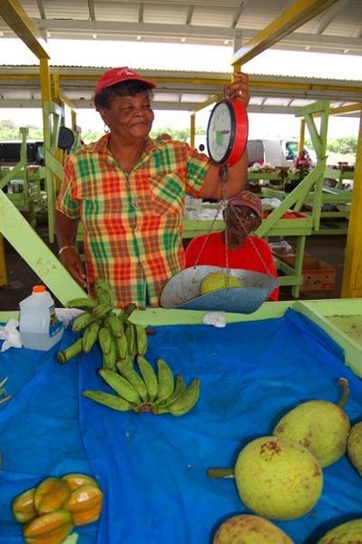 Farmer's market breadfruit