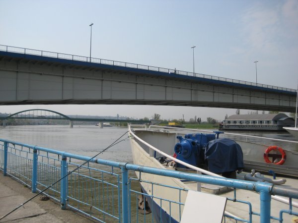 the bridge over the Sava