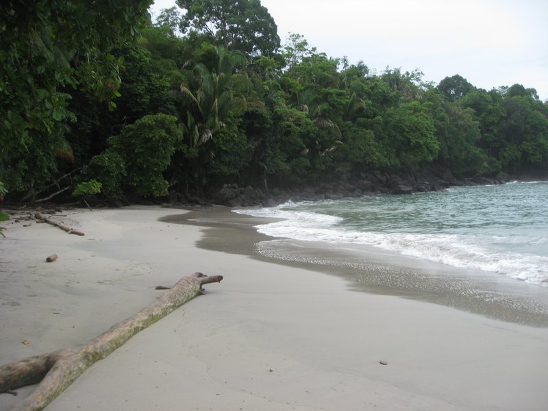 Manuel Antonio Beach
