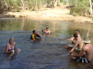Drinking in the river