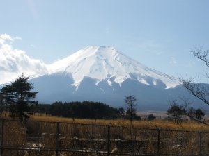 Fuji, Daytime