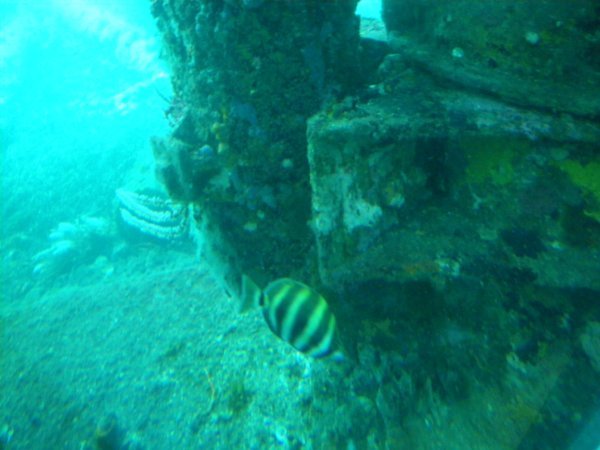 underwater observatory