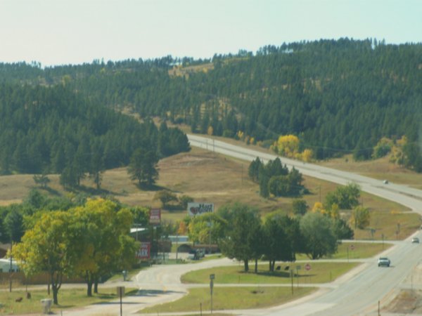 One view in the Black Hills