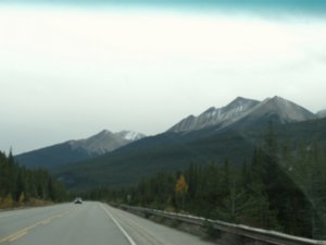We see more evergreen blanketed mountain sides coming from Jasper