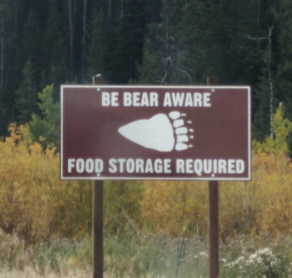 Bear?  Where?
