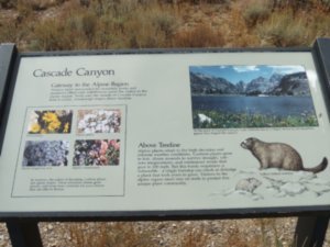 Cascade Canyon Information