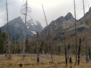 Mountains are backdrop of previous forest fire