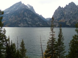 Jenny Lake view