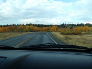 Back on the road; Brilliant fall colors abound