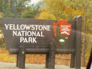 We missed the Welcome to Yellowstone last night