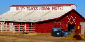 Amarillo, TX - Happy Horse