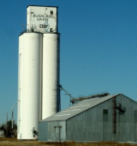 Bushland, TX - Grain