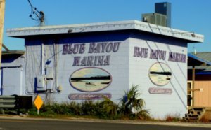The Blue Bayou