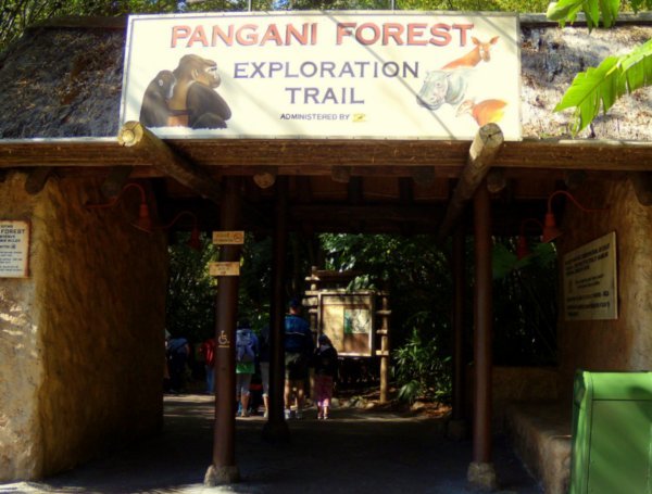 Animal Kingdom - Pangani Forest Exploration Trail 1