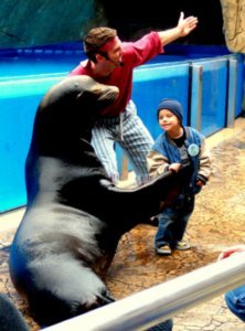 Sea World - Sea Lion Show 2