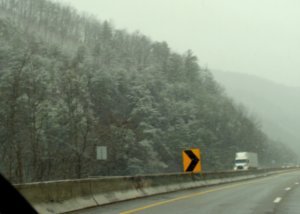 Tennessee - Snow clings to the trees