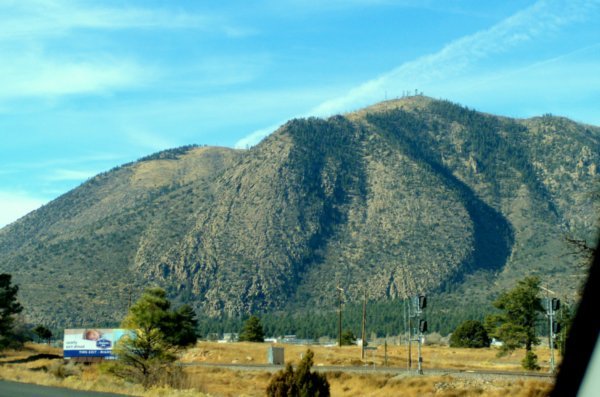 Flagstaff, AZ - tree covered