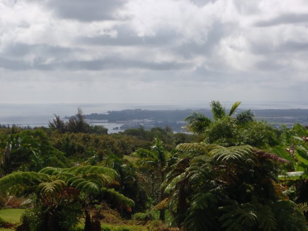 View of Hilo from Kulaniapia Falls 