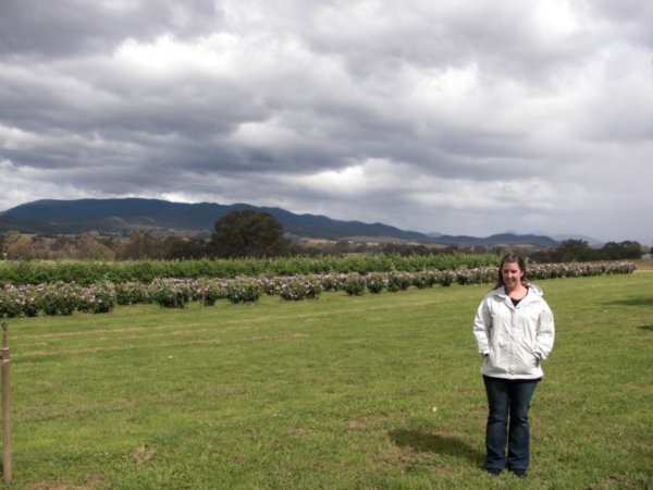 Hayley in Victoria by the winery