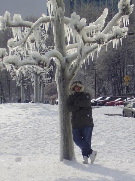 terry and Narnia ice tree