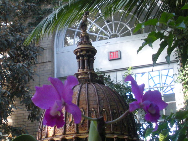 Capital Dome and Orchids