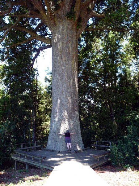 Talk about hugging a tree
