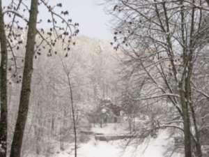The Winter Wonderland