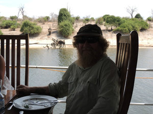 lunch..with elephants in background