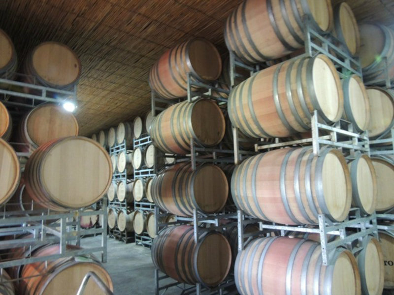 Alto Winery